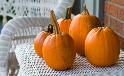 Pumpkins (Photo: Brian Leon/Flickr)