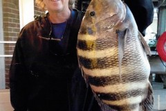A new state record sheepshead caught in Longport. (Photo: DEP)