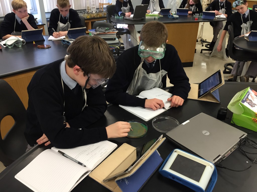 Students in Joanne Arnold's science class at. St. Dominic School in Brick work on a project on chemical bonding. (Photo: Daniel Nee)