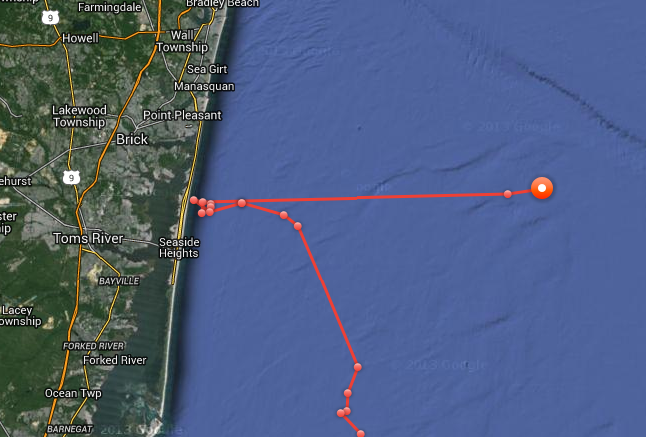 Mary Lee takes a hike from the Brick area. (Credit: OCEARCH)