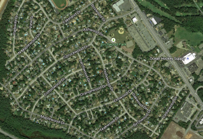 Birchwood Park (Credit: Google Maps)