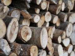 Firewood (Credit: Christine Kongsvik/Flickr)