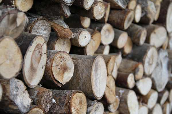 Firewood (Credit: Christine Kongsvik/Flickr)