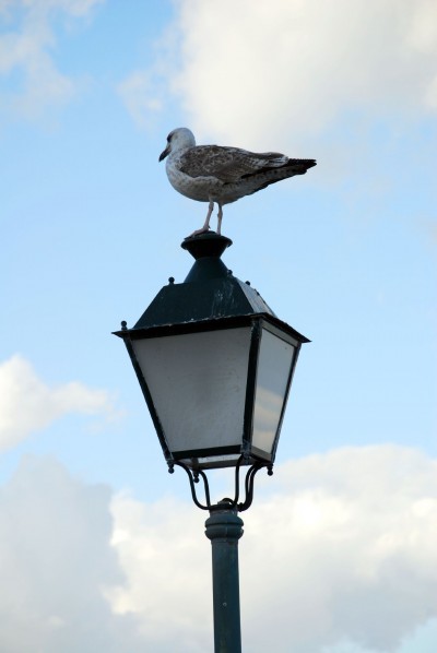 Street lamp. (Photo: Jesus Solana/Flickr)