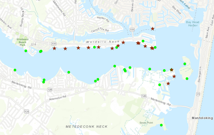 Locations clinging jellyfish have been in northern Ocean County during June 2018 surveys. (Credit: NJDEP/ Montclair State University)