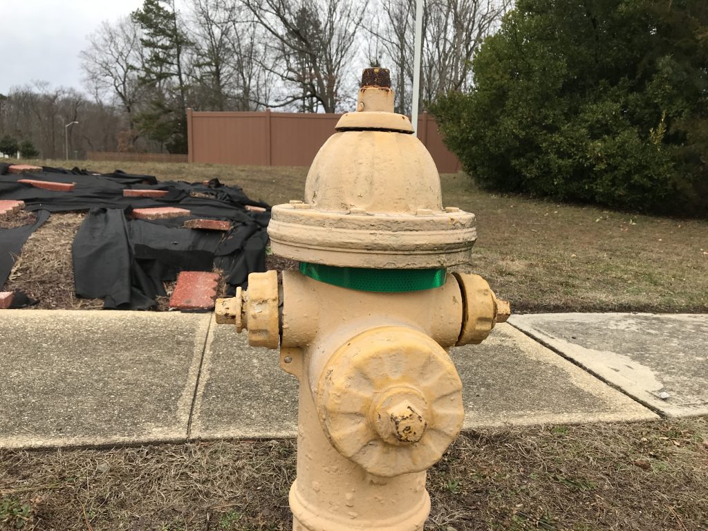 New fire hydrant markers installed in Brick, Jan. 2020. (Photo: Daniel Nee)