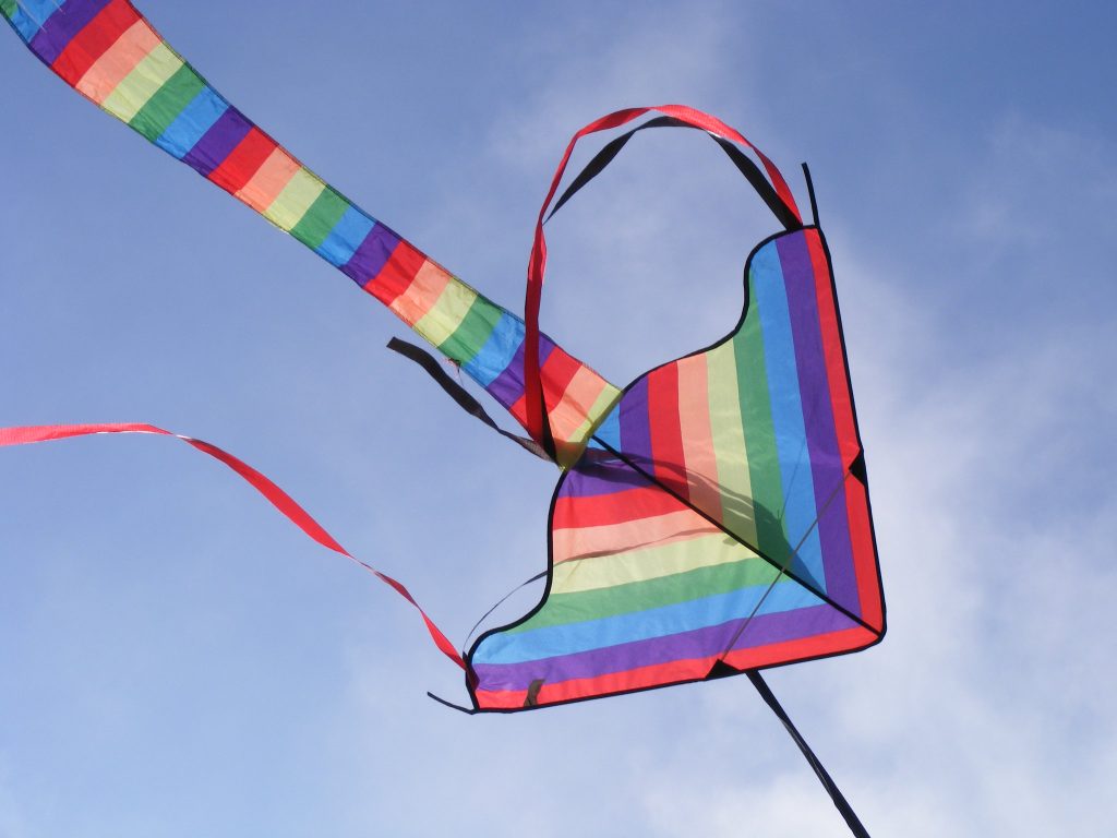 A kite flying. (Credit: Silloth Kite Festival/ Flickr)