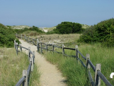 A trail at Island Beach State Park. (Supplied Photo)
