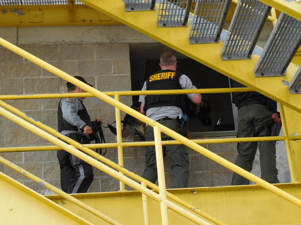 Officer Fennessey and Stoshe practicing entry into a window. (Photo: OCSD)