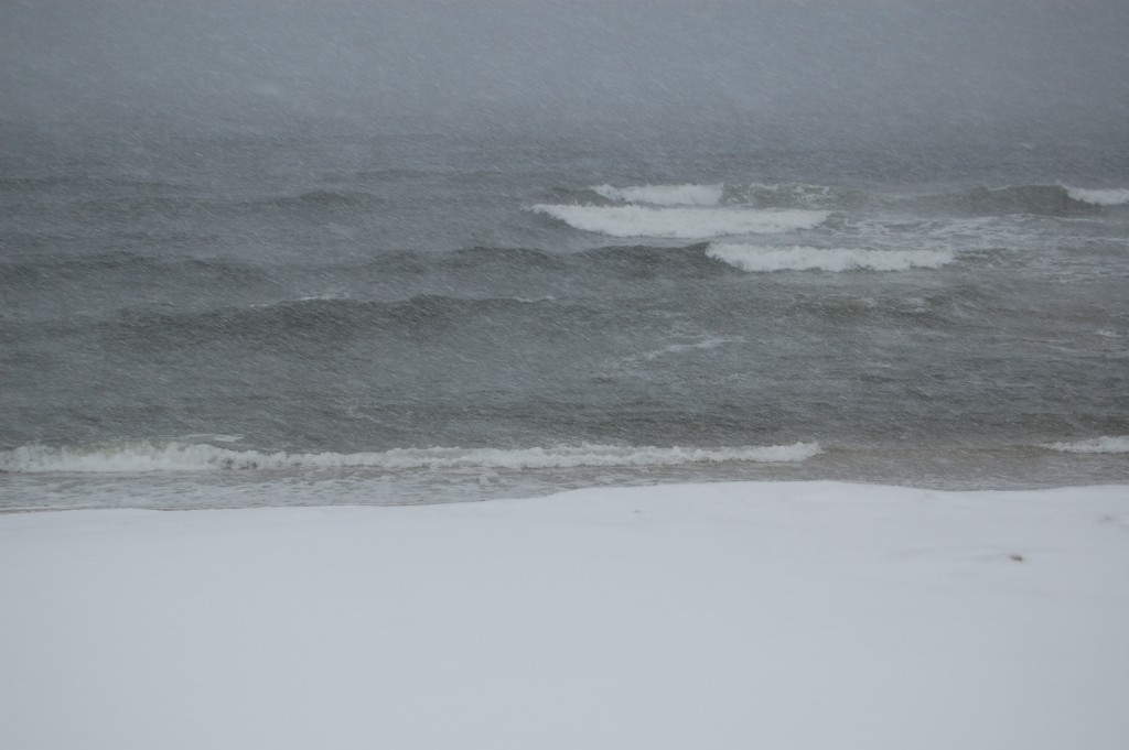 Brick Beach III during the March 5, 2015 snow storm. (Photo: Daniel Nee) Click to expand.