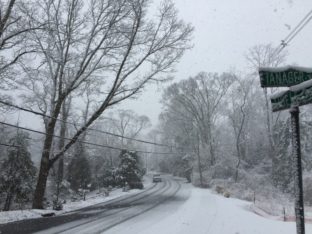Snow on a street in Brick's Herbertsville section, March 20, 2015. (Photo: Daniel Nee)