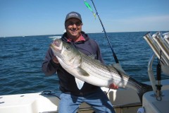 A striped bass caught by a customer on Capt. Jack Shea's Rambunctious on Barnegat Bay. (Photo: Capt. Jack Shea)