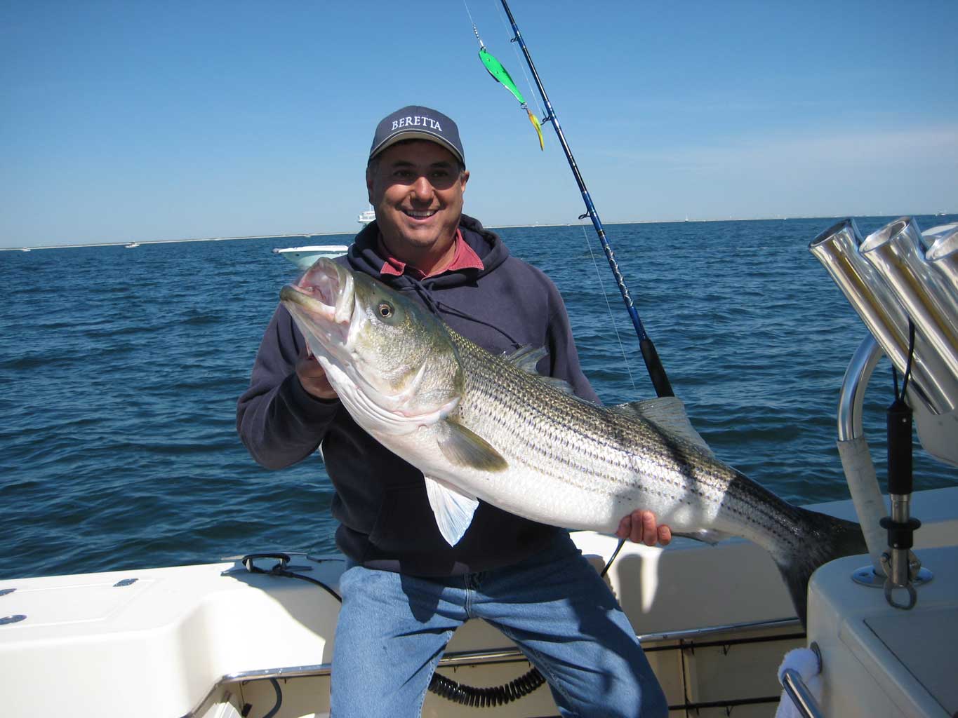 A striped bass caught by a customer on Capt. Jack Shea's Rambunctious on Barnegat Bay. (Photo: Capt. Jack Shea)