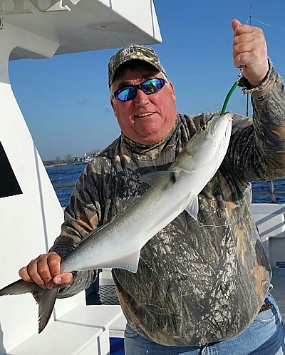 A customer on the Gambler party boat from Point Pleasant Beach shows off his bluefish. (Photo: Capt. Bob Bogan, Gambler)