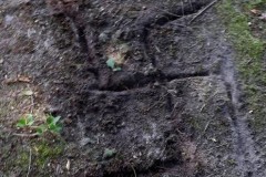 Scott F. Cooney is charged with carving this swastika into a neighbor's lawn. (Photo: Ocean County Prosecutor's Office)