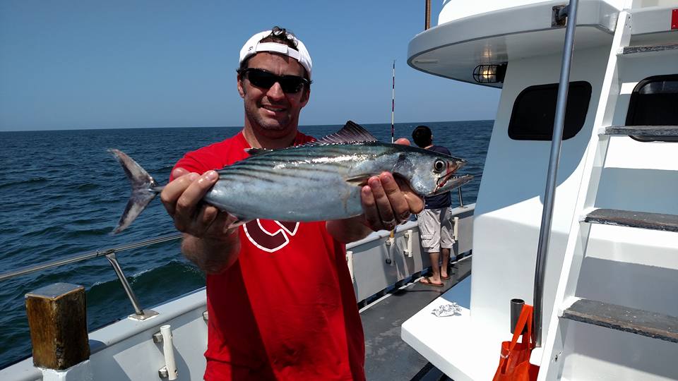 A bonito, also known as false albacore, hooked on board the Queen Mary party boat. (Photo: Queen Mary)