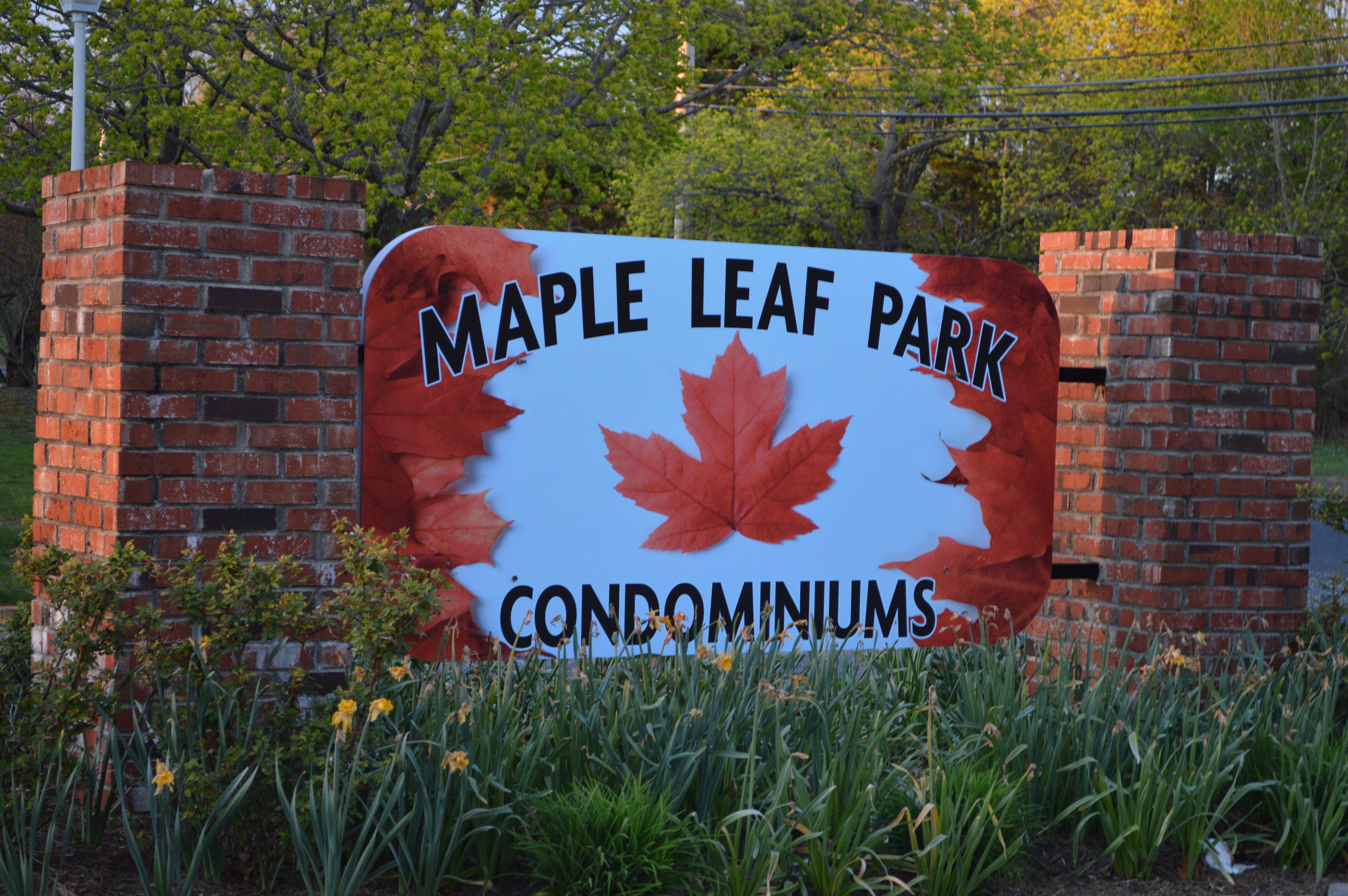 Maple Leaf Park (Photo: Daniel Nee)