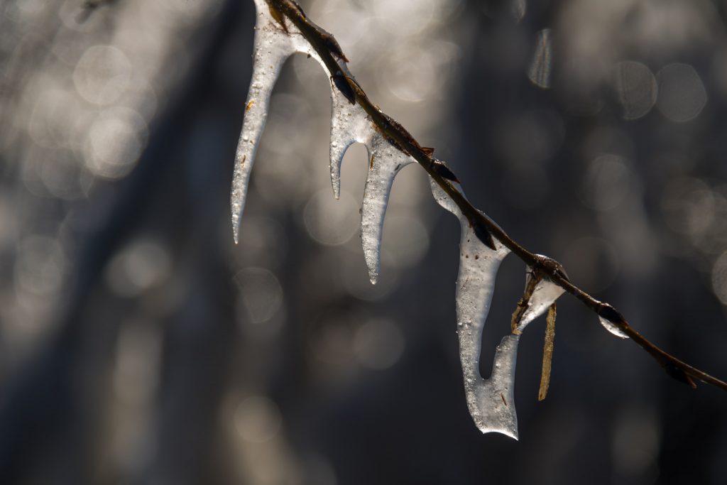 Ice/Freezing Rain (Photo: Susanne Nilsson/ Flickr)