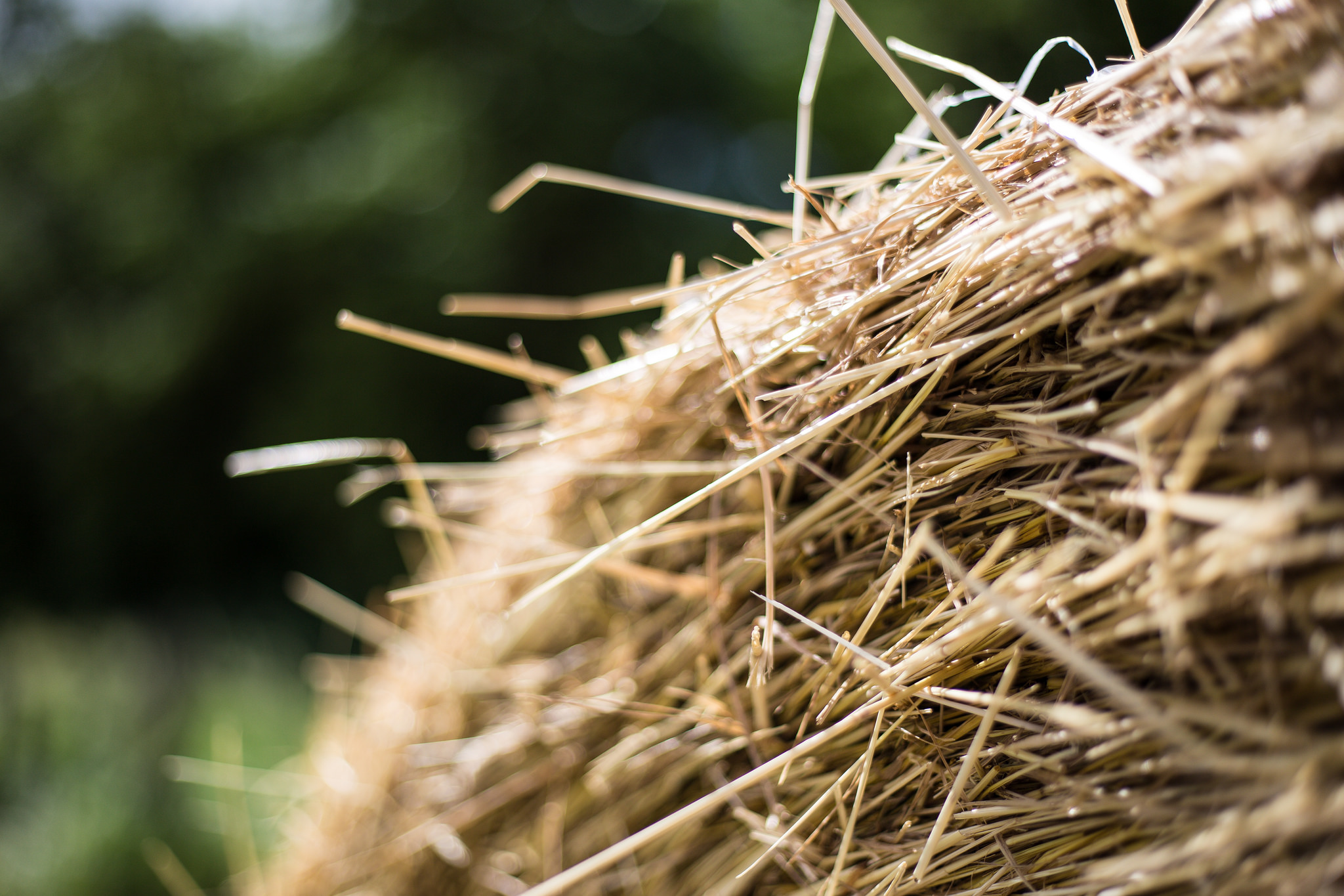 Bale of hay. (Photo: Phil Roeder/Flickr)