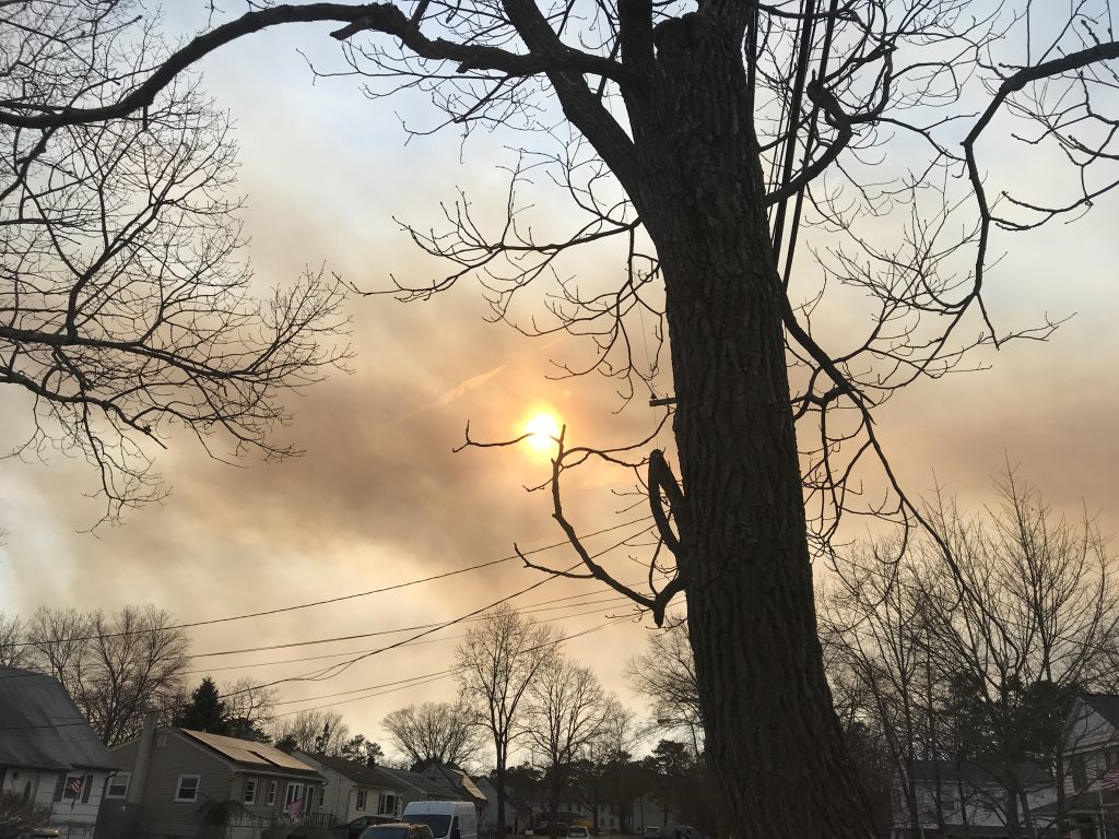 A forest fire in the New Jersey Pinelands, March 30, 2019. (Photo: Daniel Nee)