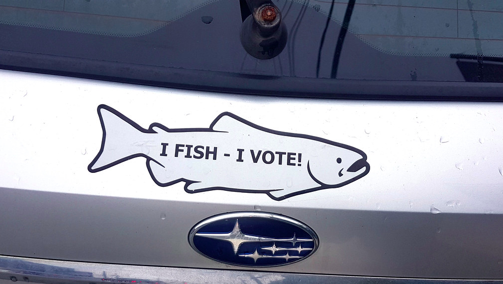 An 'I Fish, I Vote' Bumper Sticker (Credit: Flickr/Hiveminer)