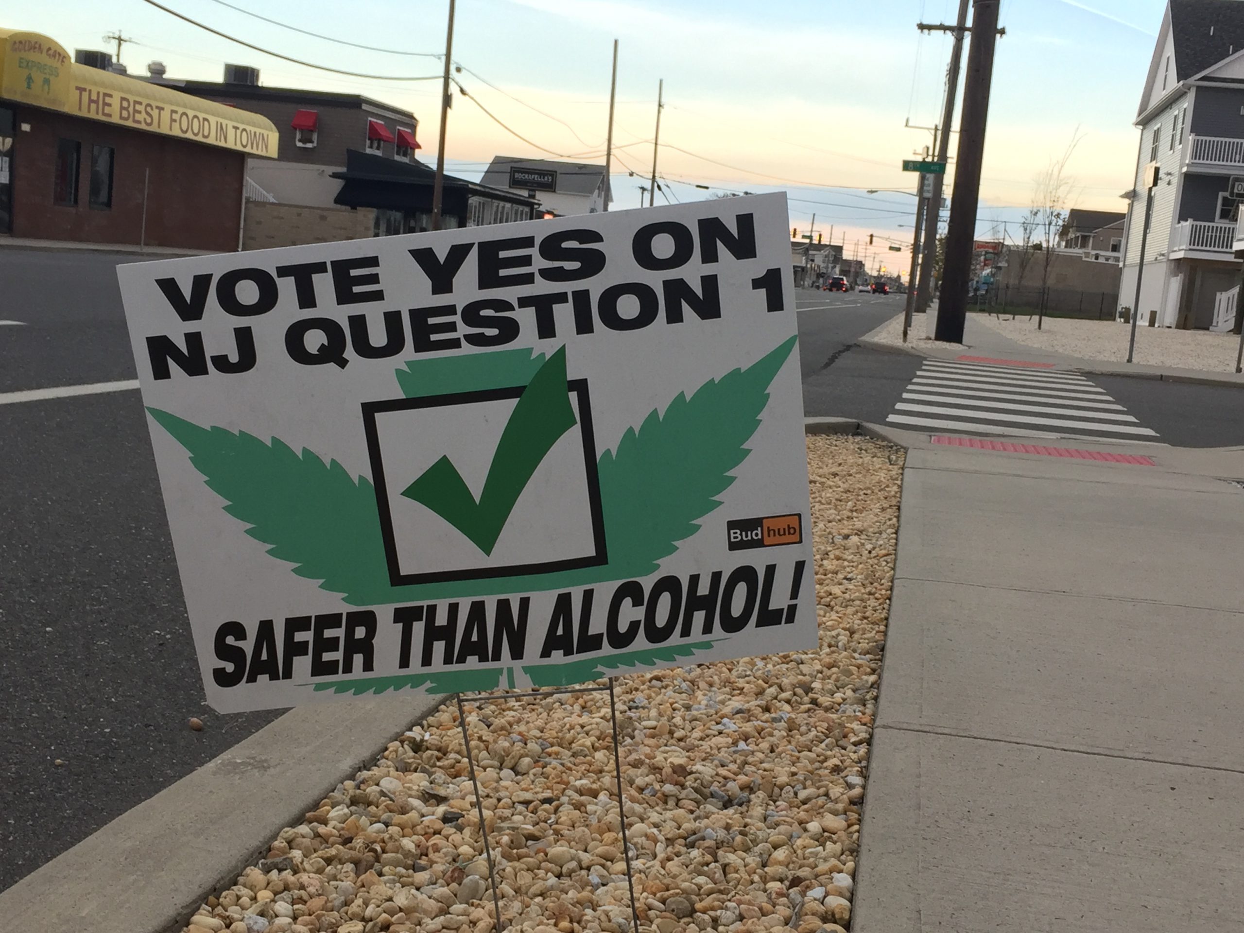 A lawn sign supporting the legalization of marijuana along Route 35 in Ortley Beach, Nov. 2020. (Photo: Daniel Nee)