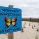 Monarch Waystation sign at Brick Beach III. (Photo: Daniel Nee)