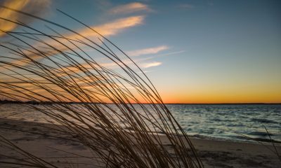 Warm skies and blowing dune grass on a cold night, Dec. 19. 2021, in Lavallette, N.J. (Photo: Daniel Nee)