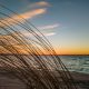 Warm skies and blowing dune grass on a cold night, Dec. 19. 2021, in Lavallette, N.J. (Photo: Daniel Nee)
