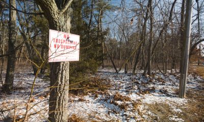 An undeveloped wooded area off Laurel Avenue in Brick, where 59 homes are proposed. (Photo: Daniel Nee)