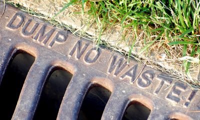 A "Dump No Waste" inscription on a storm sewer grate. (Credit: Steve Snodgrass/ Flickr)