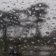 Rain on a windshield. (Credit: Tom Hilton/ Flickr)