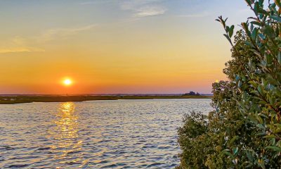 The sun sets over Chadwick Island, Sept. 18, 2022. (Photo: Daniel Nee)