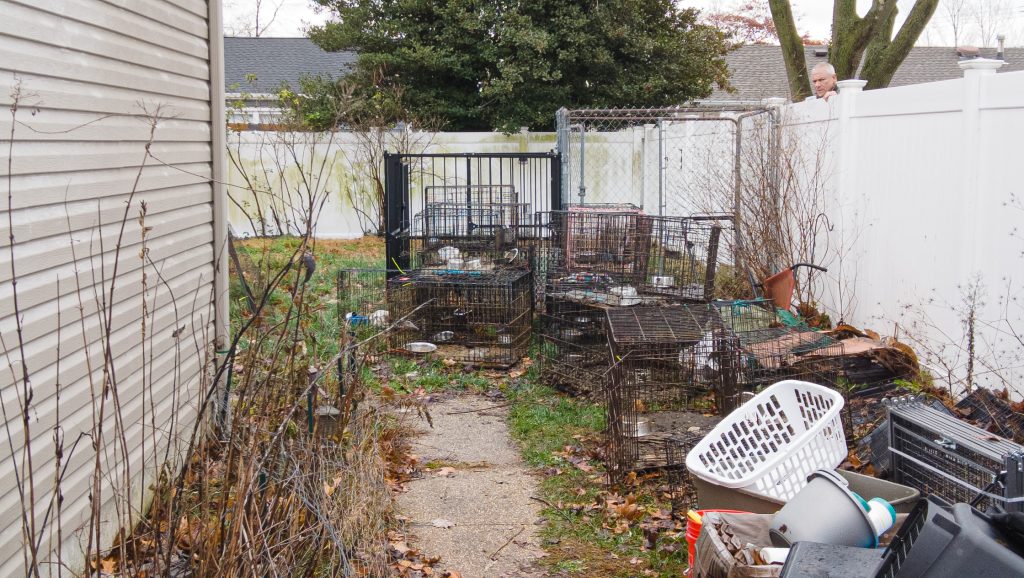 The home at 11 Arrowhead Park Drive, Brick Township, where 180 animals were being kept in a suspected ‘puppy mill’ operation, Dec. 3, 2022. (Photo: Daniel Nee)