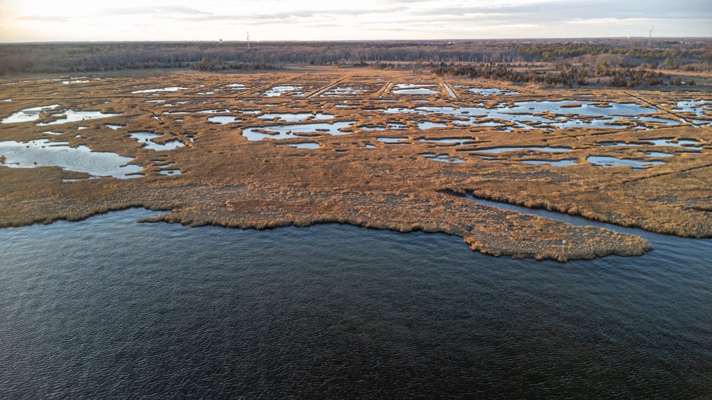 Salt marshes in Brick Township's portion of the Edwin B. Forsythe National Wildlife Refuge, Jan. 2023. (Photo: Daniel Nee)