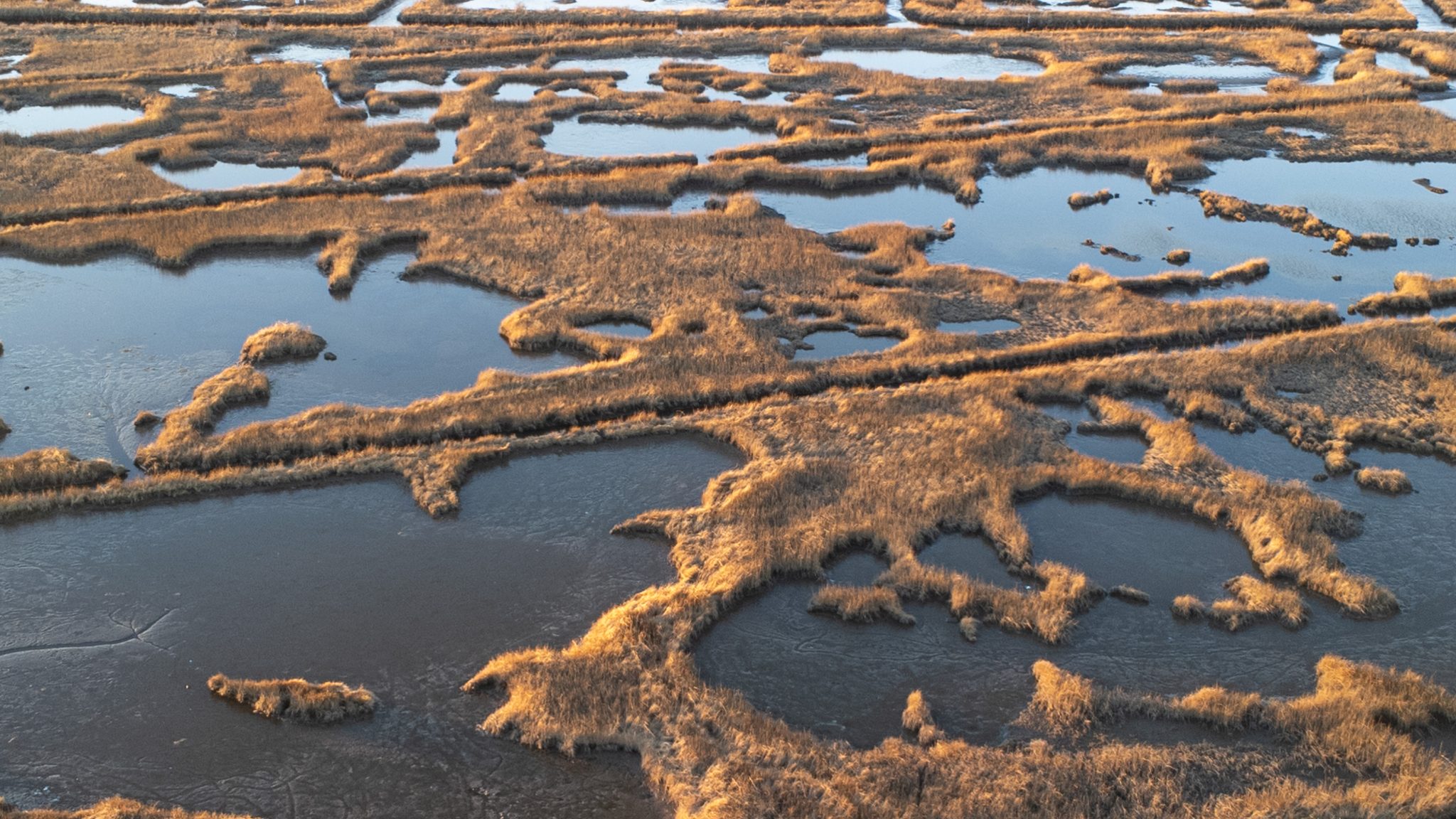 Public Info Session on Traders Cove Dredging, Marshland Project to be ...