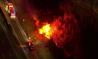 A fire on the side of the Garden State Parkway, Jan. 19, 2022. (Credit: NBC10, Philadelphia)
