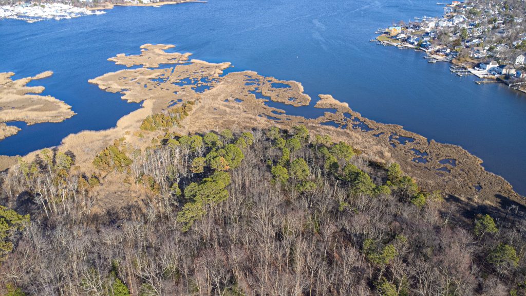 Brick is planning to acquire about 3-acres of marshland as a donation. (Photo: Shorebeat LLC)