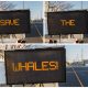 An electronic message board in Lavallette displays 'Save The Whales' along Route 35 South. (Photo: Daniel Nee)