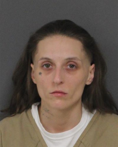 Woman, 32, Will Serve Jail Time in Fatal Accident That Killed Brick ...