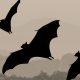 Bats (Illustration: Ocean County Library)