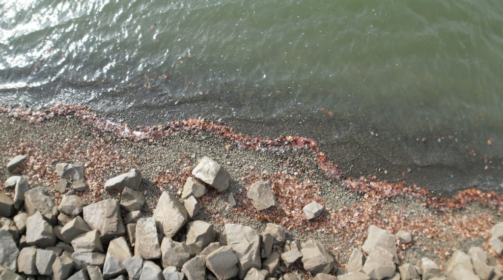 Dry conditions at the Brick Township Reservoir, Dec. 1, 2024. (Credit: John Barrett)